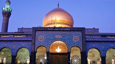 the Zainab (a.s.) Organization of Greater Seattle, a non-profit fostering Islamic education, community services, and cultural awareness.