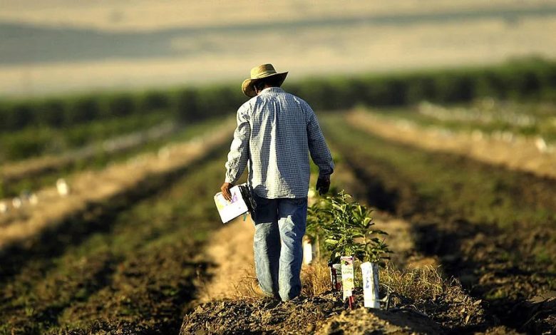 The booming halal market in the United States is creating powerful partnerships between Muslim consumers and local farmers, blending faith, sustainability, and economic growth.