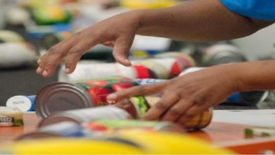 States Brace for Food Aid Crisis as SNAP Payments Face Imminent Suspension