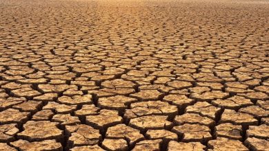 A recent study published in Nature Communications warns that “Day Zero Drought” — when surface water supplies run dry — could affect major U.S. cities like Washington D.C., Phoenix, and San Diego sooner than expected.