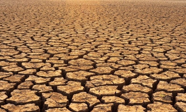 A recent study published in Nature Communications warns that “Day Zero Drought” — when surface water supplies run dry — could affect major U.S. cities like Washington D.C., Phoenix, and San Diego sooner than expected.