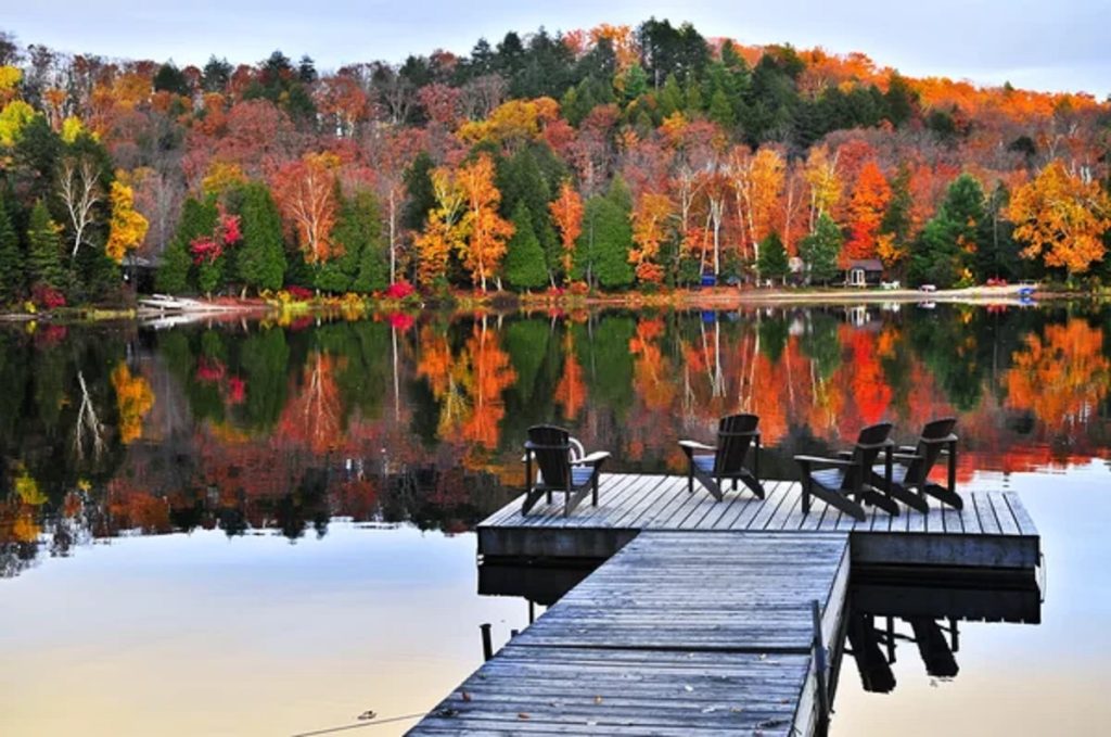 Top U.S. Cities for Arab Muslim Residents to Visit in Fall