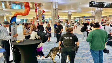 The United States may soon face one of the worst aviation disruptions in decades as Transportation Secretary Sean Duffy warned that airlines could be forced to cut up to 20% of flights if the ongoing government shutdown