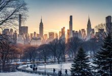 Seasonal Affective Disorder and practical ways to stay mentally healthy during New York’s cold, dark months.