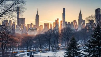 Seasonal Affective Disorder and practical ways to stay mentally healthy during New York’s cold, dark months.