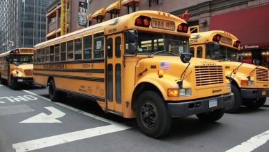 Driving near schools and school buses in Michigan requires extra caution and awareness.
