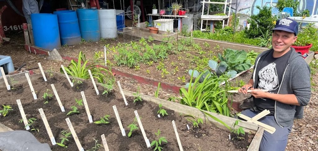 When Israeli forces damaged the Union of Agricultural Work Committees’ (UAWC) seed multiplication unit in Hebron on July 31, seed activist Melina Roise felt a familiar shock.