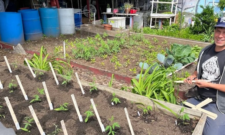 When Israeli forces damaged the Union of Agricultural Work Committees’ (UAWC) seed multiplication unit in Hebron on July 31, seed activist Melina Roise felt a familiar shock.