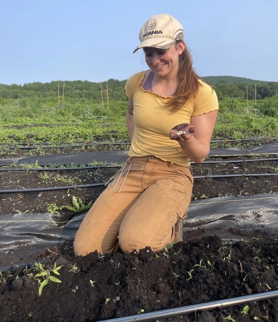 When Israeli forces damaged the Union of Agricultural Work Committees’ (UAWC) seed multiplication unit in Hebron on July 31, seed activist Melina Roise felt a familiar shock.
