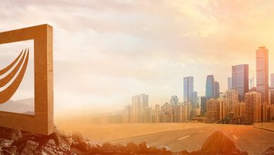 Zahran Mamdani’s recent campaign for mayor of New York City was not just about policy—it was a striking visual showcase.