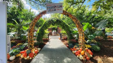 the top 5 parks in Oklahoma perfect for Muslim families and communities.