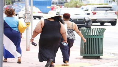Recent data from WalletHub, a financial analytics company, reveal stark disparities in overweight and obesity rates across U.S. states, with Southern states—especially in the Southeast—ranking highest for obesity nationwide.
