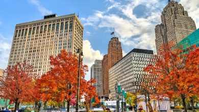 Michigan Arab community