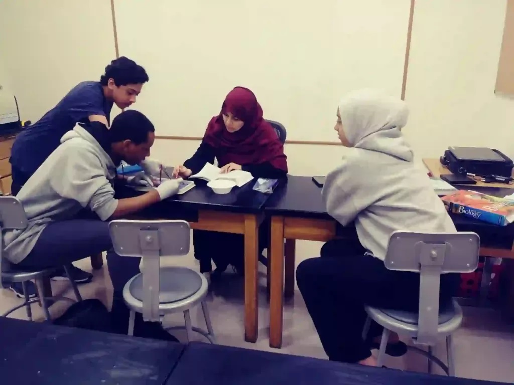 Islamic Schools and Institutes in the U.S.