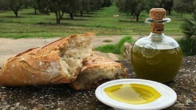 Tunisian olive oil is gaining popularity in the United States, especially among Muslim communities, for its authentic flavor, health benefits, and role in traditional cooking. Learn how it is used and celebrated.