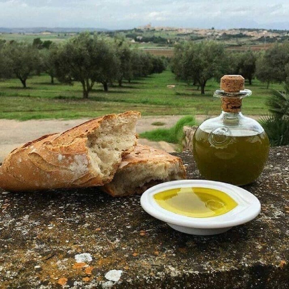 Tunisian olive oil is gaining popularity in the United States, especially among Muslim communities, for its authentic flavor, health benefits, and role in traditional cooking. Learn how it is used and celebrated.