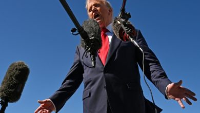 In 2018, Donald Trump denied describing countries whose citizens migrate to the United States as “shithole countries.